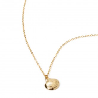 STEEL SHELL NECKLACE