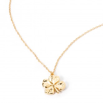 STEEL NECKLACE WITH CLOVER