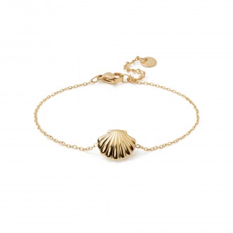 PULSERA CONCHA DE ACERO
