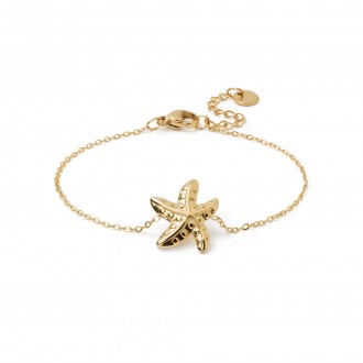 PULSERA ESTRELLA DE MAR DE ACERO