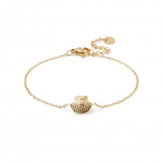 PULSERA CONCHA DE ACERO