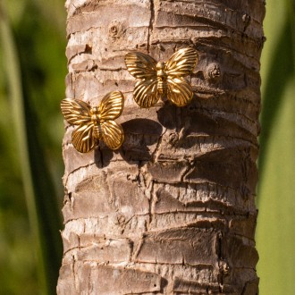 BRINCOS A�O BORBOLETA