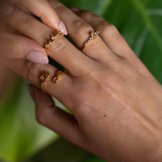 METAL RING WITH PAW