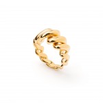 A�o Dourado