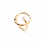 A�o Dourado