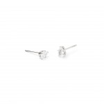 Steel