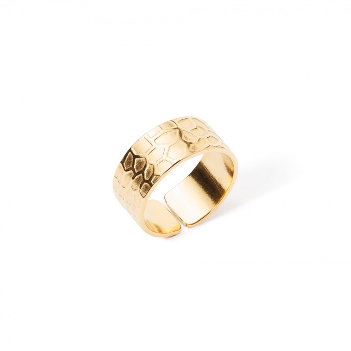 STEEL RING WITH DETAILS