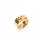 A�o Dourado
