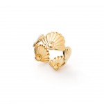A�o Dourado