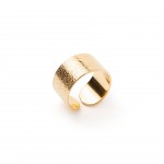 A�o Dourado