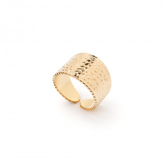 STEEL RING WITH DETAILS