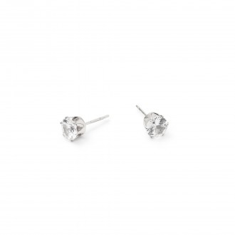STEEL SHINY EARRINGS