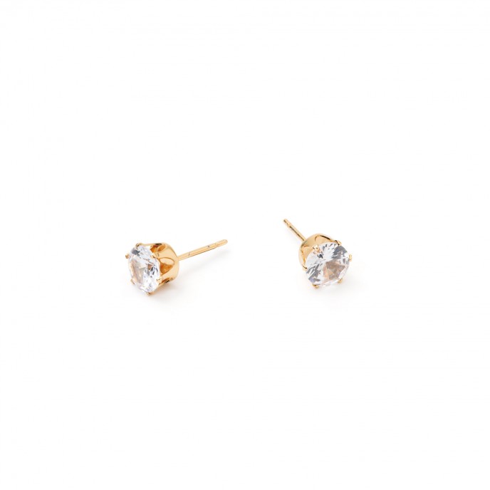 STEEL SHINY EARRINGS