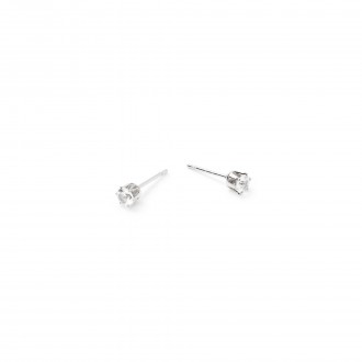 STEEL SHINY EARRINGS