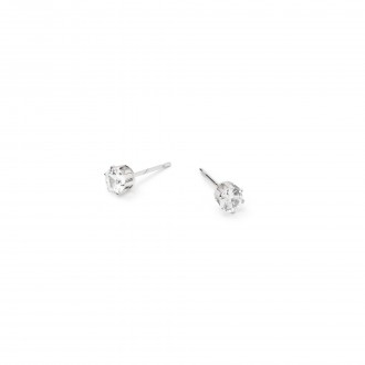 STEEL SHINY EARRINGS