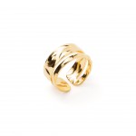 A�o Dourado