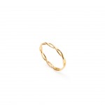 A�o Dourado
