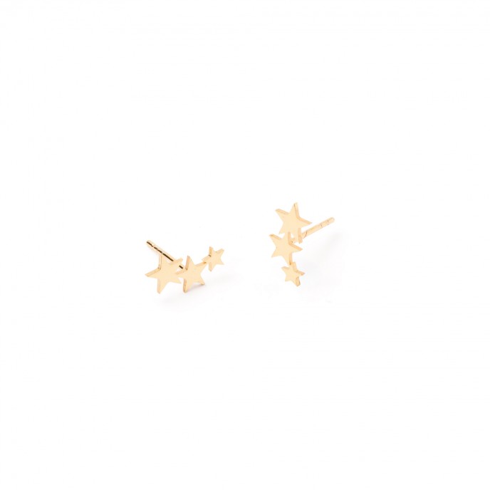 STEEL STAR EARRINGS