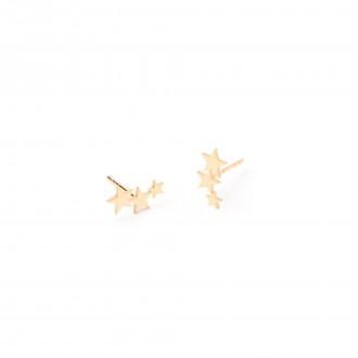 STEEL STAR EARRINGS