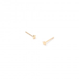 STEEL STAR EARRINGS